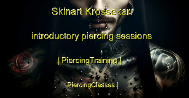 Skinart Krossekarr introductory piercing sessions | PiercingTraining | PiercingClasses | SkinartTraining-Sweden